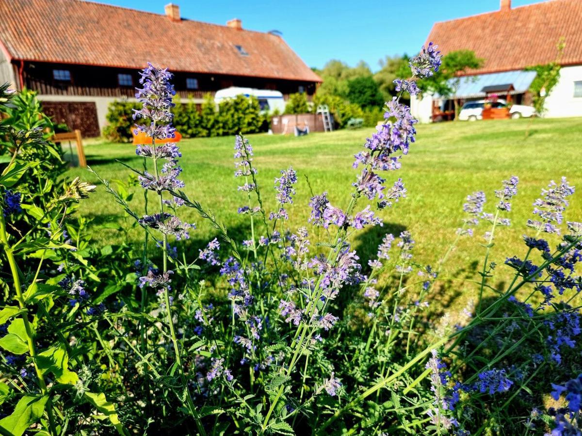 Siedlisko Szymonka Ryn (Warmian-Masurian)